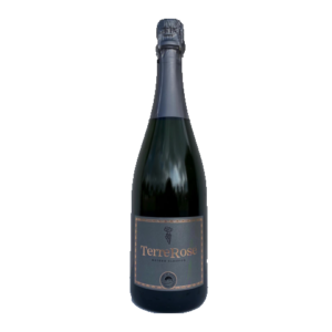 Terre Brut Rosé - Metodo Classico- Terre Di San Vito